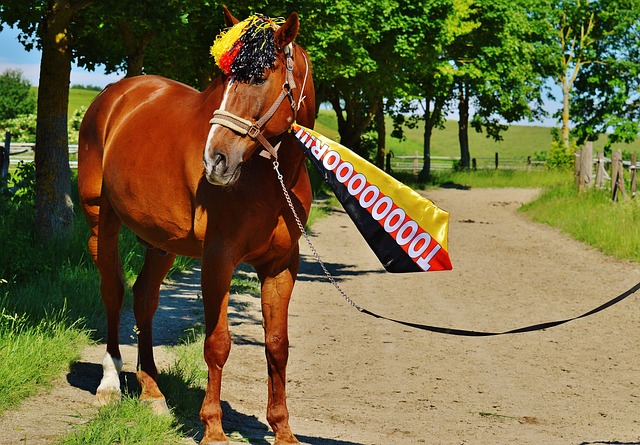 迷的关注 迷的关注