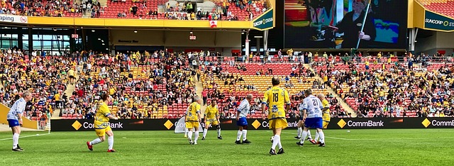 表现也受到 表现也受到