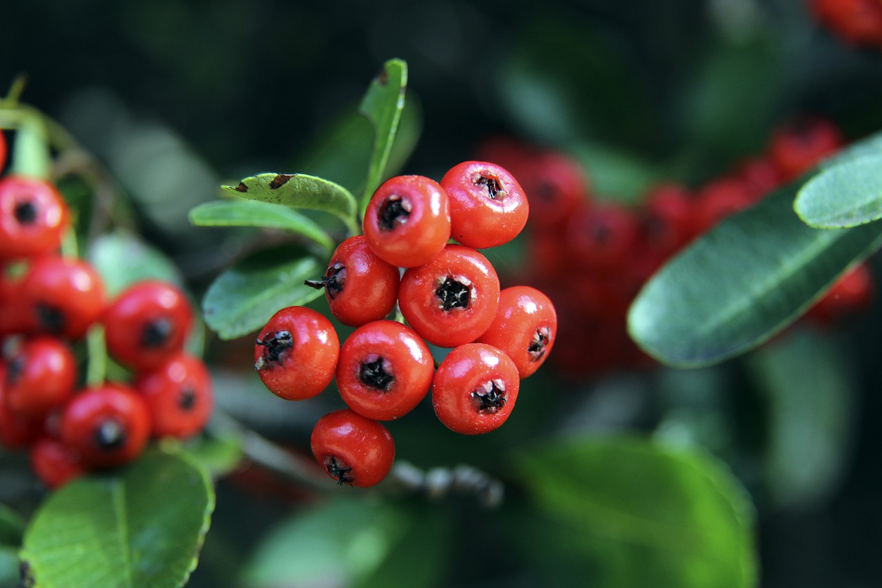 的深刻研究 的深刻研究