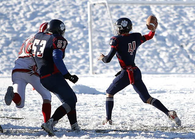 在国际跳水 在国际跳水