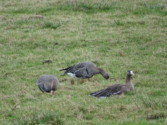 于篮球激情 于篮球激情